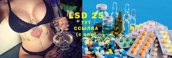 ECSTASY Медвежьегорск
