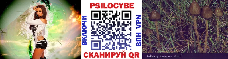 Галлюциногенные грибы Cubensis  Купить где  Мосальск 